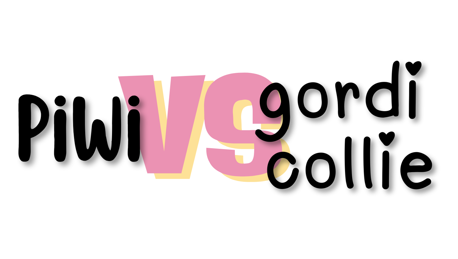 Piwi vs Gordi Collie